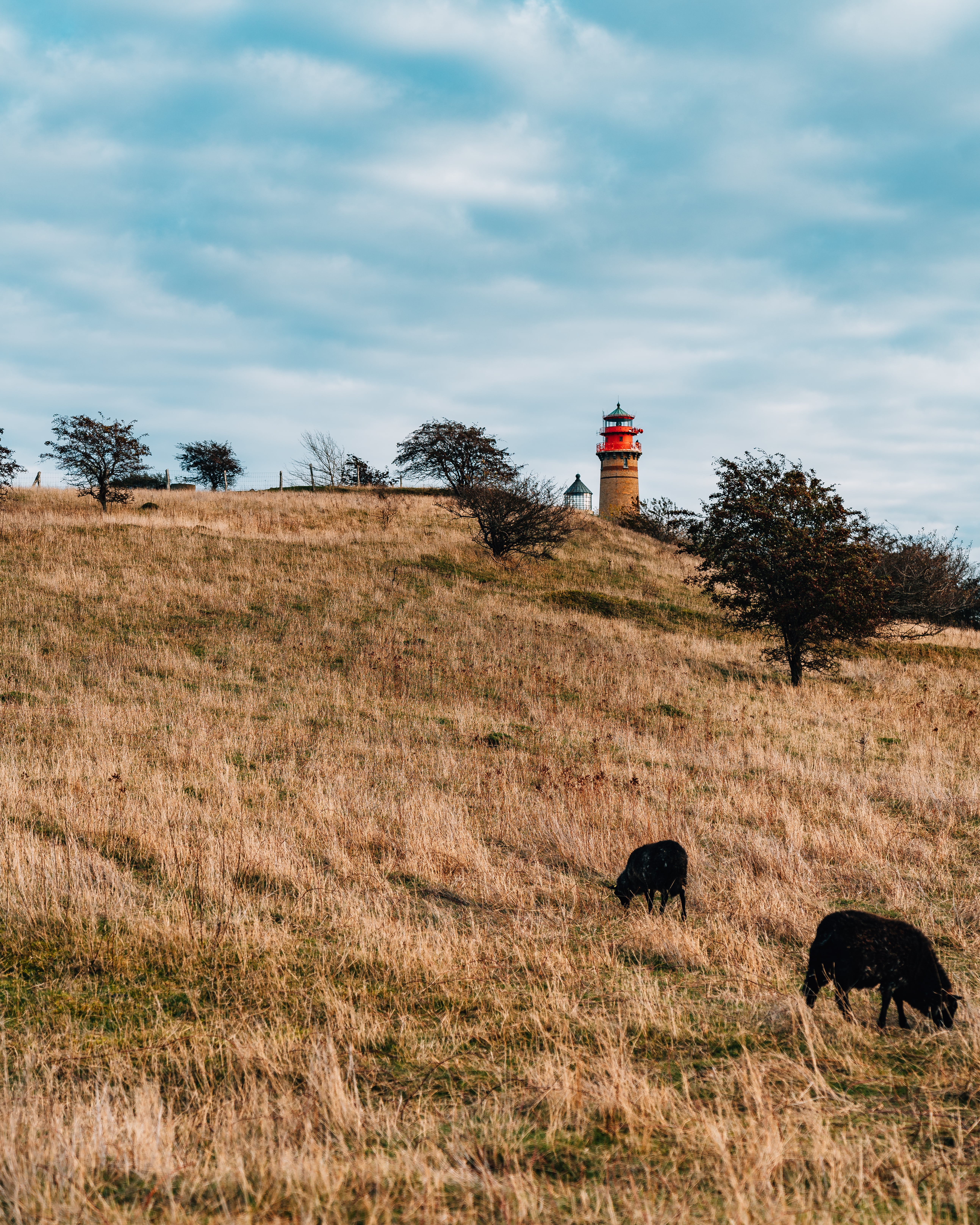 Rügen